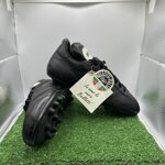 bellotti-tg41-cod-548