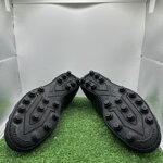 orso-dabruzzo-tg41-cod-512