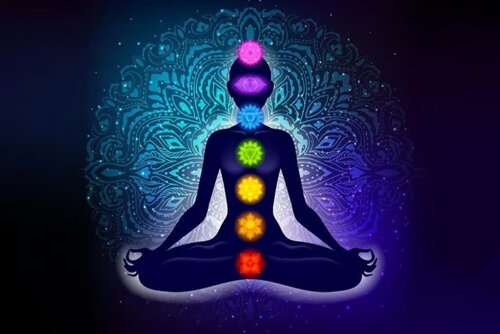 whatsapp image 2026-04-19 at 11.35.03.jpeg