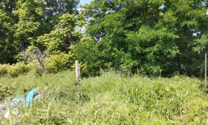 img-20250514-wa0023.jpeg