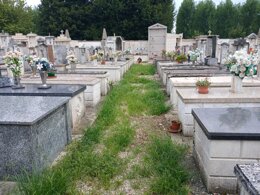 immagine whatsapp 2025-08-25 ore 21.06.10_17d83b9f.jpeg