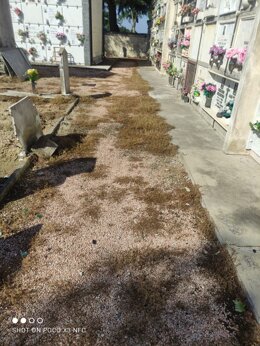 img-20250904-wa0005.jpeg