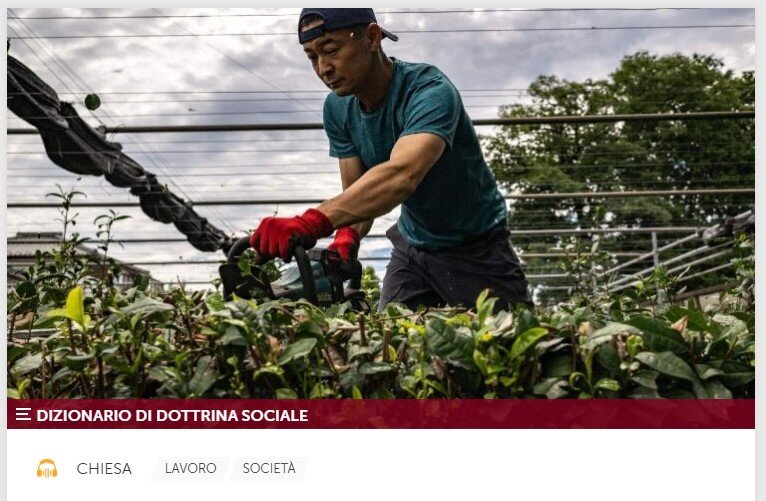 Lavoro sostenibile: un processo verso la giustizia e la speranza