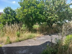 whatsapp image 2026-05-21 at 10.59.46 (2).jpeg
