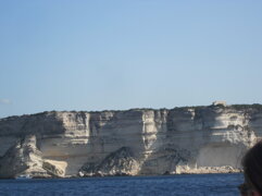 img_5040.jpeg