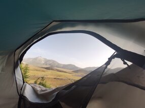 img_20210811_080834.jpeg