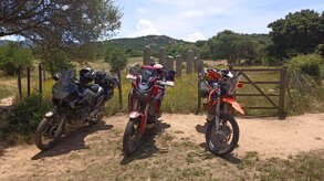 img_20230607_132230_1.jpeg