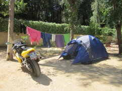 img_5185.jpeg