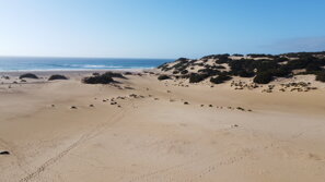 dji_0402.jpeg