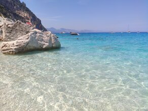 img_20200812_142803.jpeg