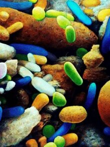 Particolare ingrandito del letto di morte di Vin