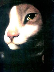 Topo che fissa un gatto