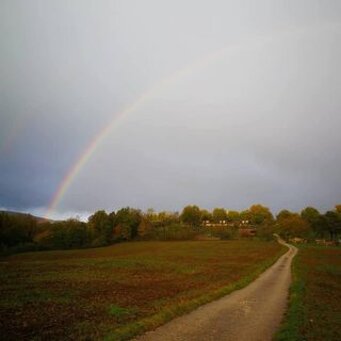 bb3f60d4ddacb9a2eeb0c7085a9bf878b37318d7