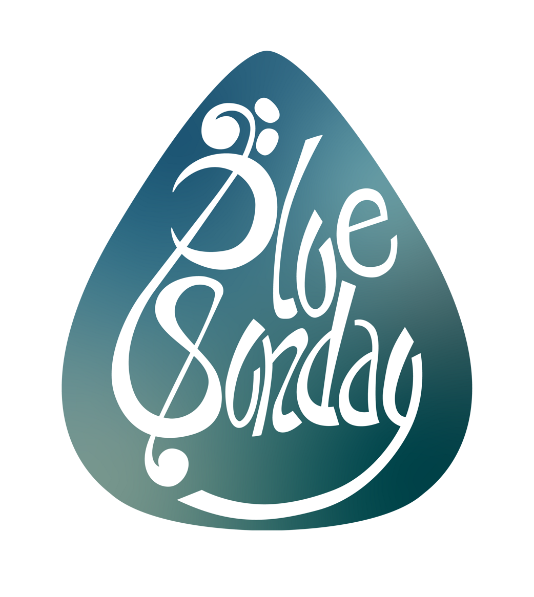 logo plettro