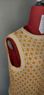gilet-jaguard