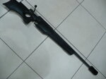 sig-sauer-asg-4000
