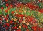 colori-e-profumi-di-michele-carpignano