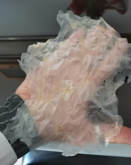 e5dca0113a36fb22cb97bf88472eeb7d45d4135b