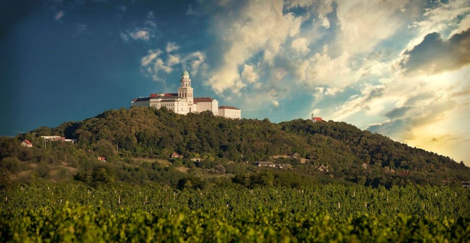 Rota romana, Sacra Rota, avvocato, Treviso
