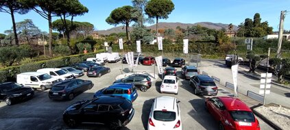 whatsapp image 2026-01-20 at 11.00.20 (2).jpeg