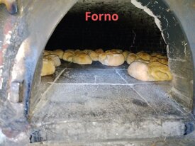 a6a48f8ff10d52694282d45991b233fa3a2d9166