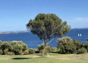 img_0242.jpeg img_0242.jpeg