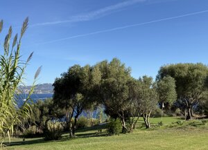 img_0234.jpeg img_0234.jpeg