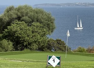 img_0243.jpeg img_0243.jpeg