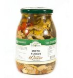 va1-1k-misto-funghi-ods-codst106