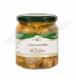 va-290-g-lampascioni-ods-codst177