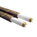 neon-nafa-t8-gold