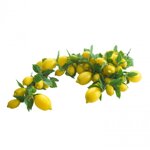 ghirlanda-limoni-200cm-codali085