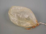 collati-vesciche-kg10-10pz-codfo208