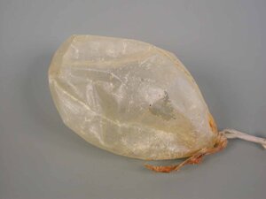 collati-vesciche-kg4-pz10-codfo207