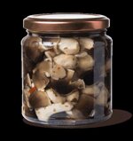 va-290-g-funghi-di-muschio-ods-codst153