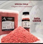 pancrock-special-viola-kg1-codart174