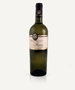 fiano-salento-igt-135-codvin031