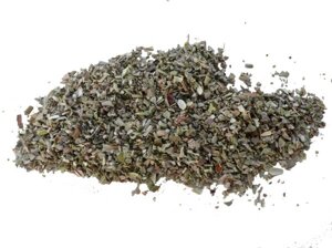 salvia-kg1