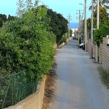 viale che porta la mare
