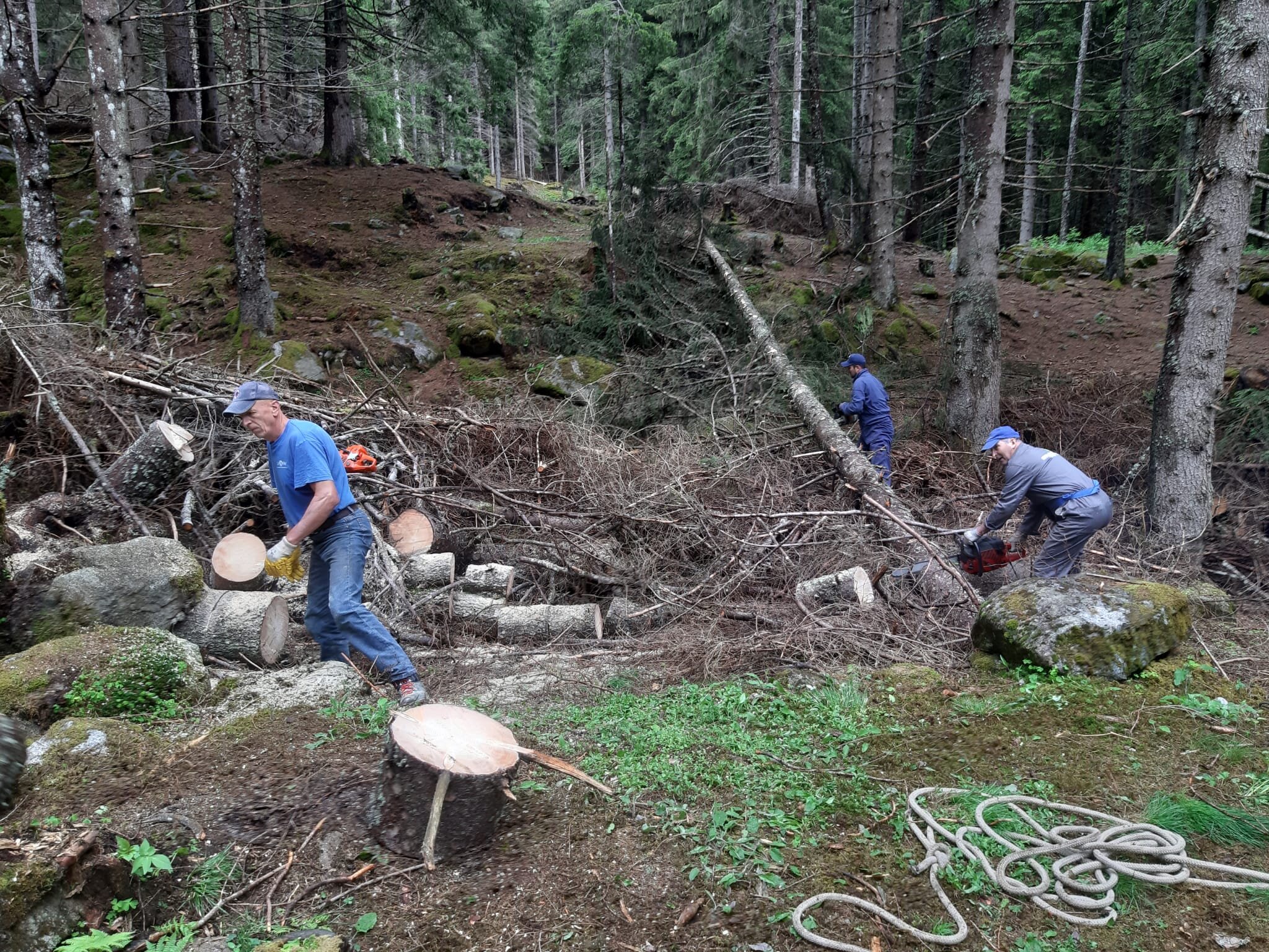 TrialGP Ponte di Legno - NEWSLETTER N.1