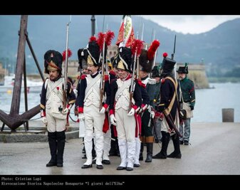 petite armèe.jpeg petite armèe.jpeg