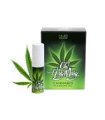 oh-holy-mary-cannabis-pleasure-oil-6ml