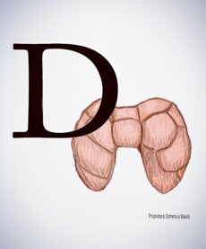 35dfa452abe95410c97affaea25c7dafb362d50e