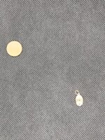 ciondolo-in-oro-1889