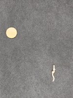 ciondolo-in-oro-1895