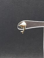 orecchini-in-oro