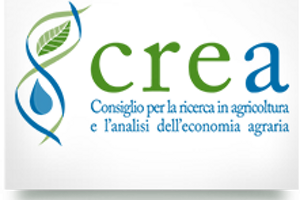 Csea