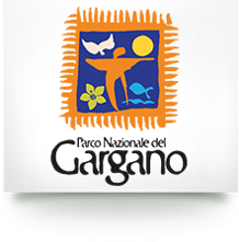 400d73f3-32af-4c37-b9ee-12e7d8a7efae