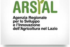 Ase