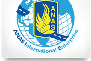 Anas